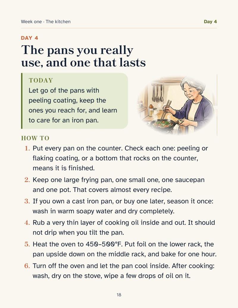 Day 4, the pans you really use, left page